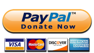 Paypal Donate NCSSD